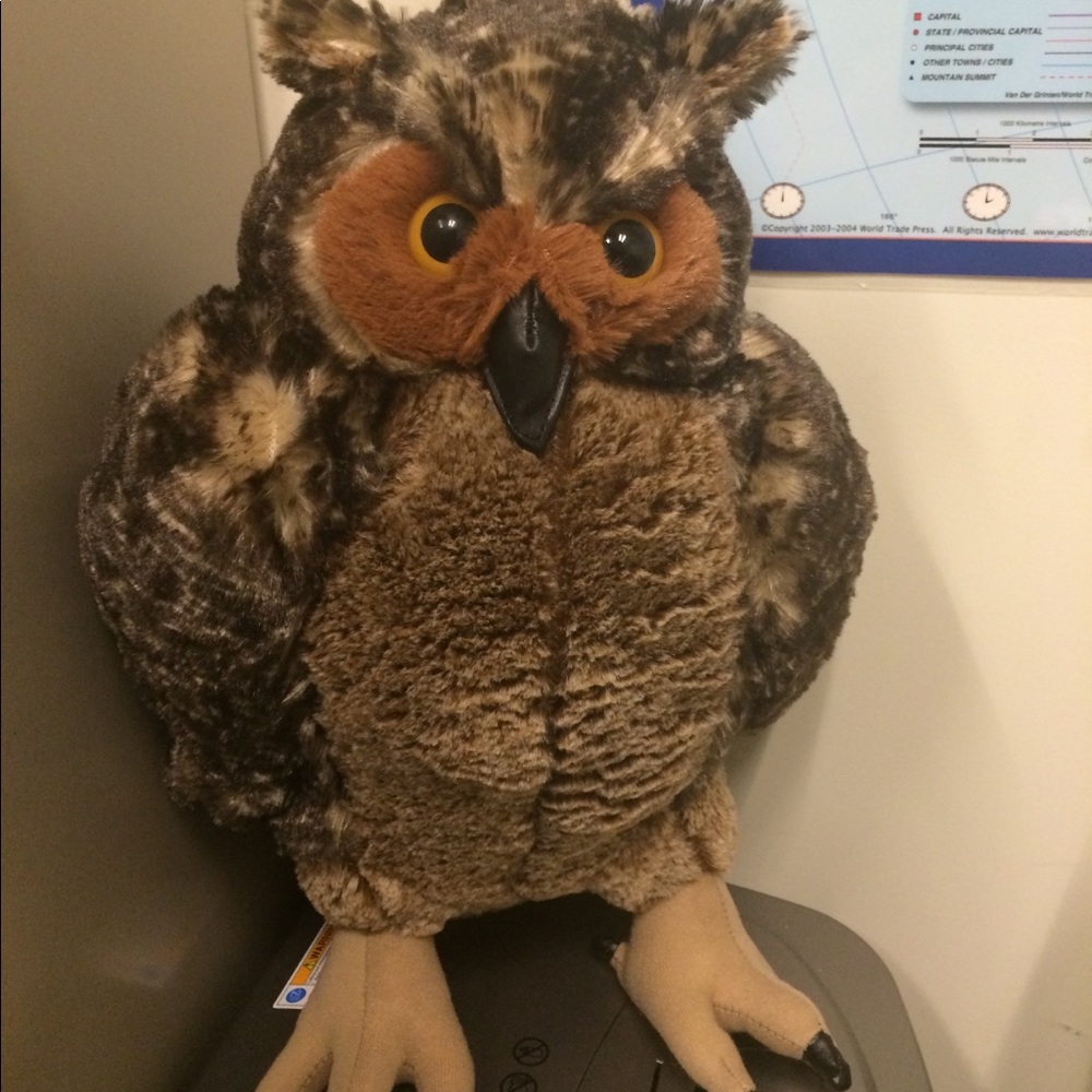 Meet your Posher, Vicki